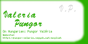 valeria pungor business card
